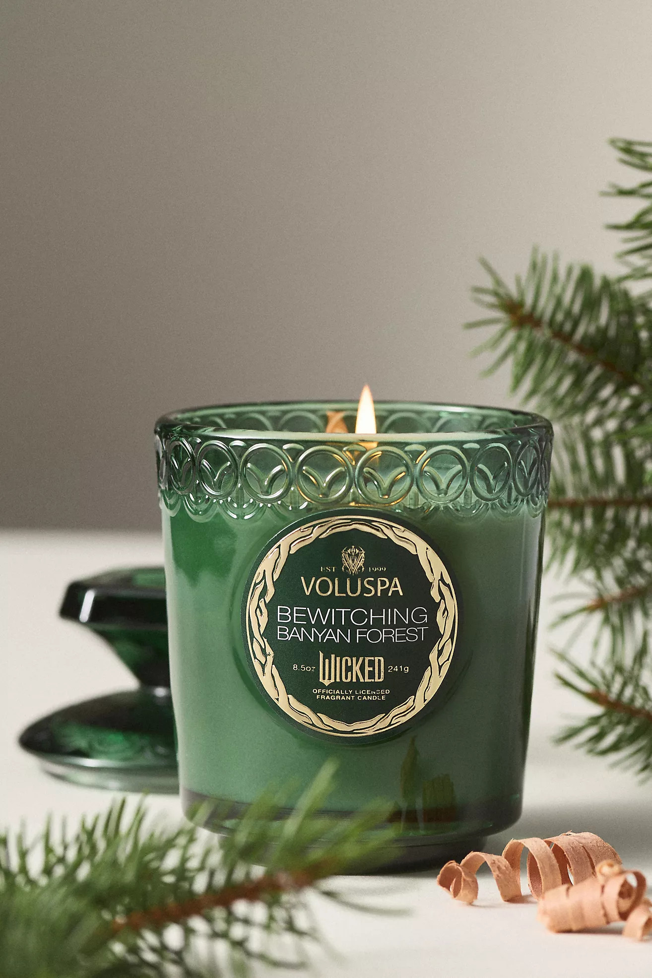 Voluspa Bewitching Banyan Forest Wicked Glass Candle | Anthropologie (US)