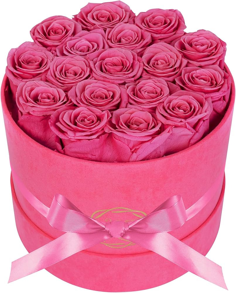 17 Flowers in a Velvet Pink Box, Birthday Gifts for Women, Preserved Flowers, Mothers Day Roses G... | Amazon (US)