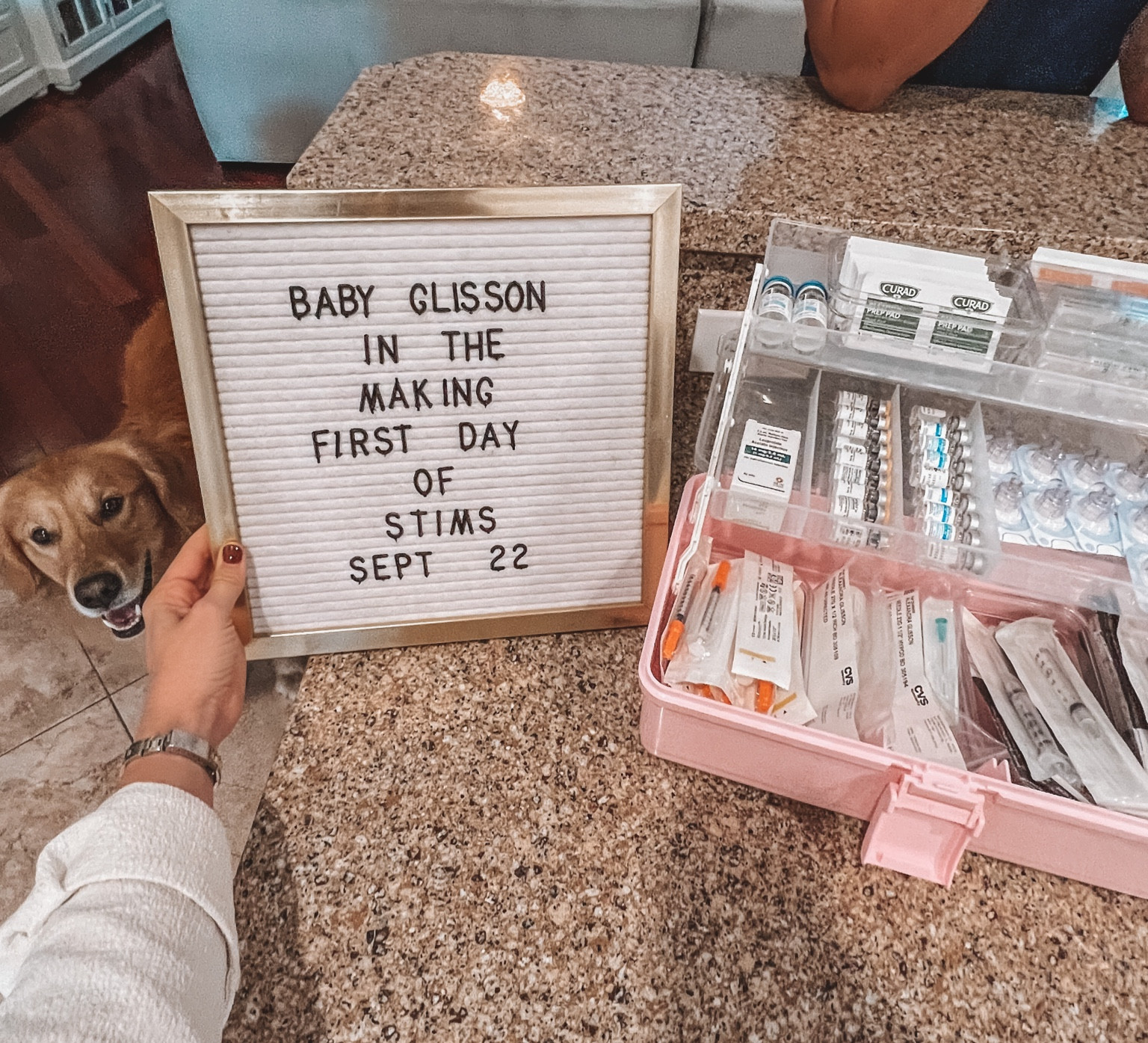 IVF journey has begun! Love this pink tackle box for medicine organization! 

#LTKbump #LTKunder50 #LTKbaby