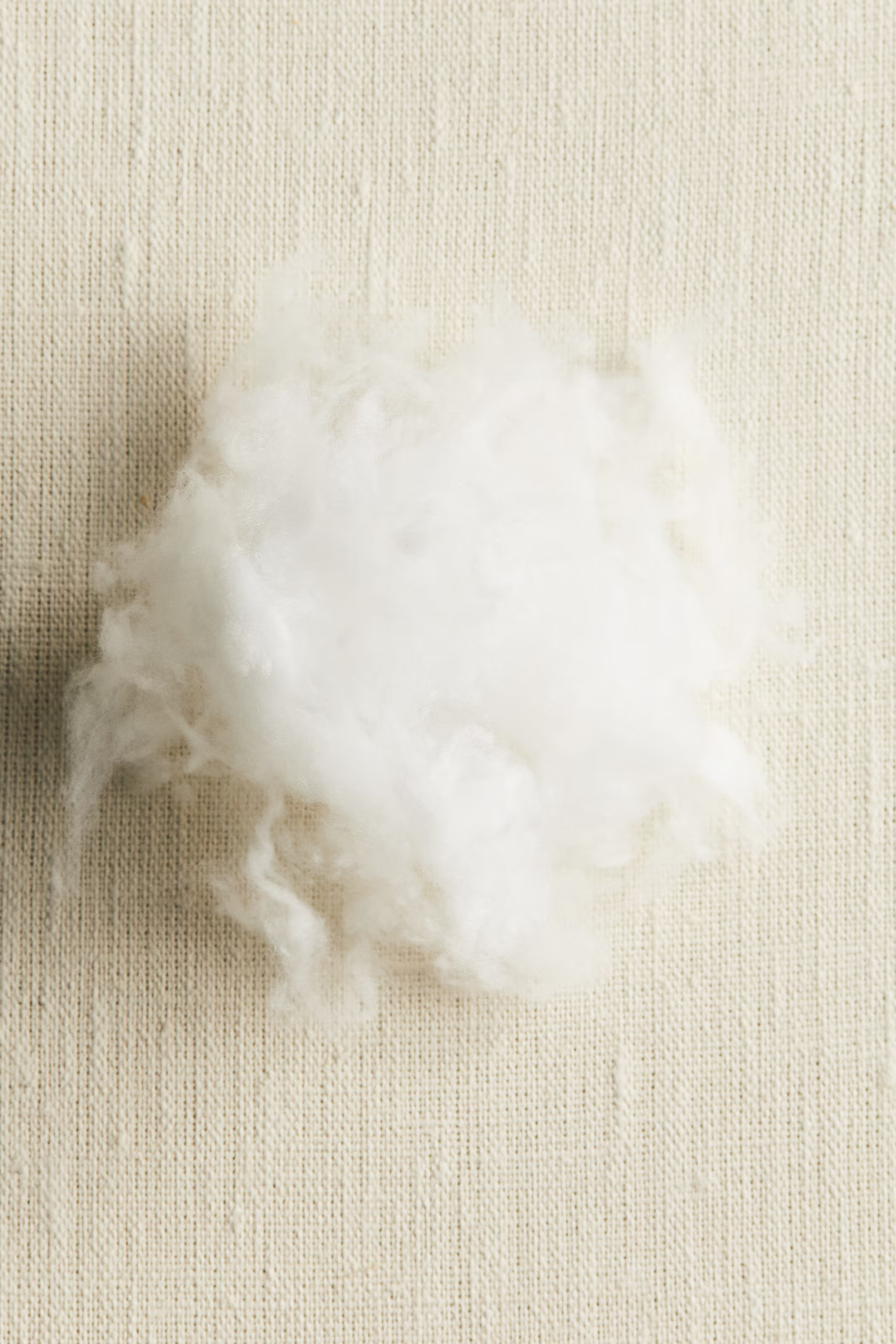 Polyester-filled Inner Cushion | H&M (US + CA)