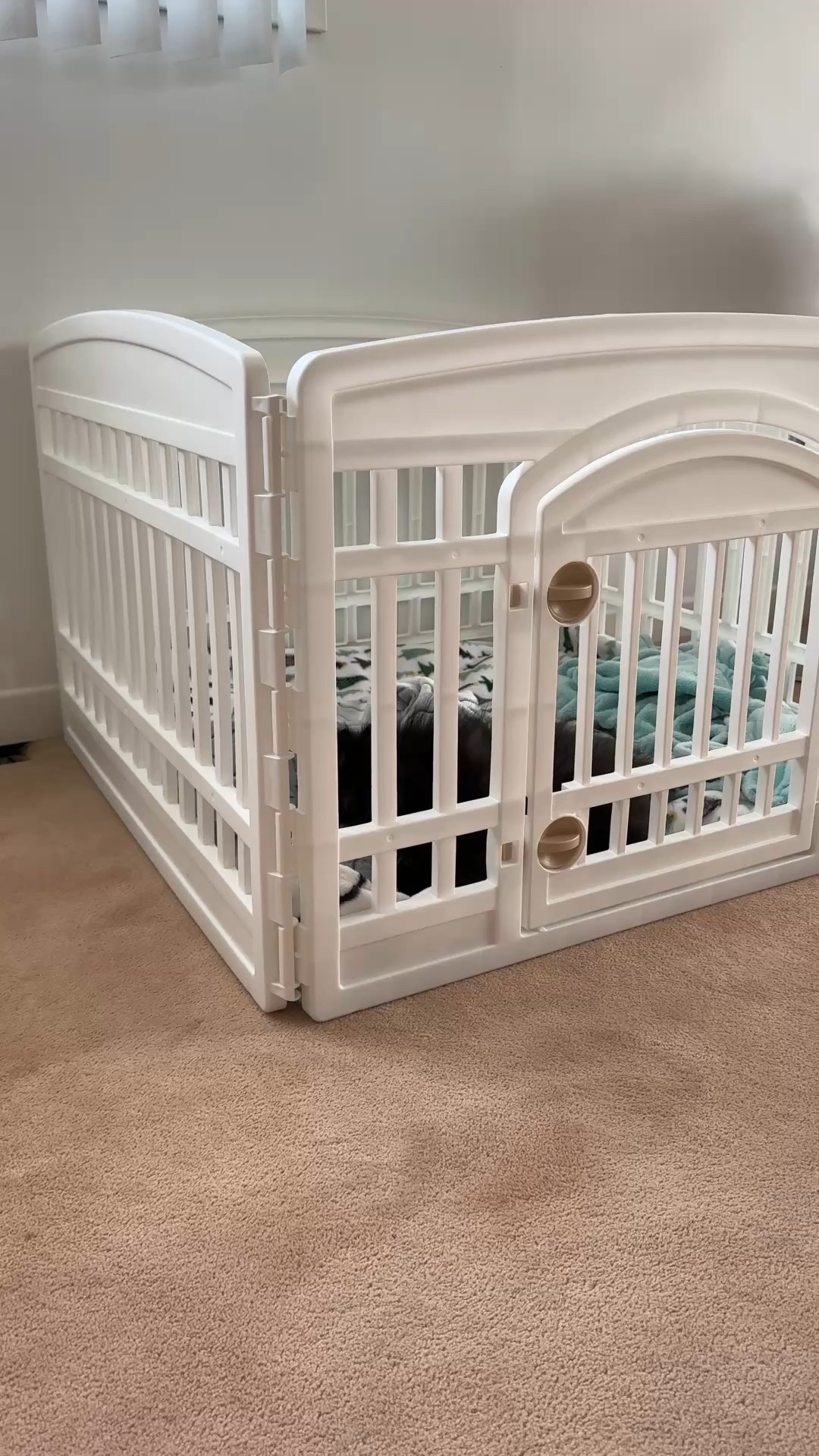 this is the crate we bought for our new Pomeranian puppy Elvis.
Amazon puppy and dog must haves 

#LTKPets