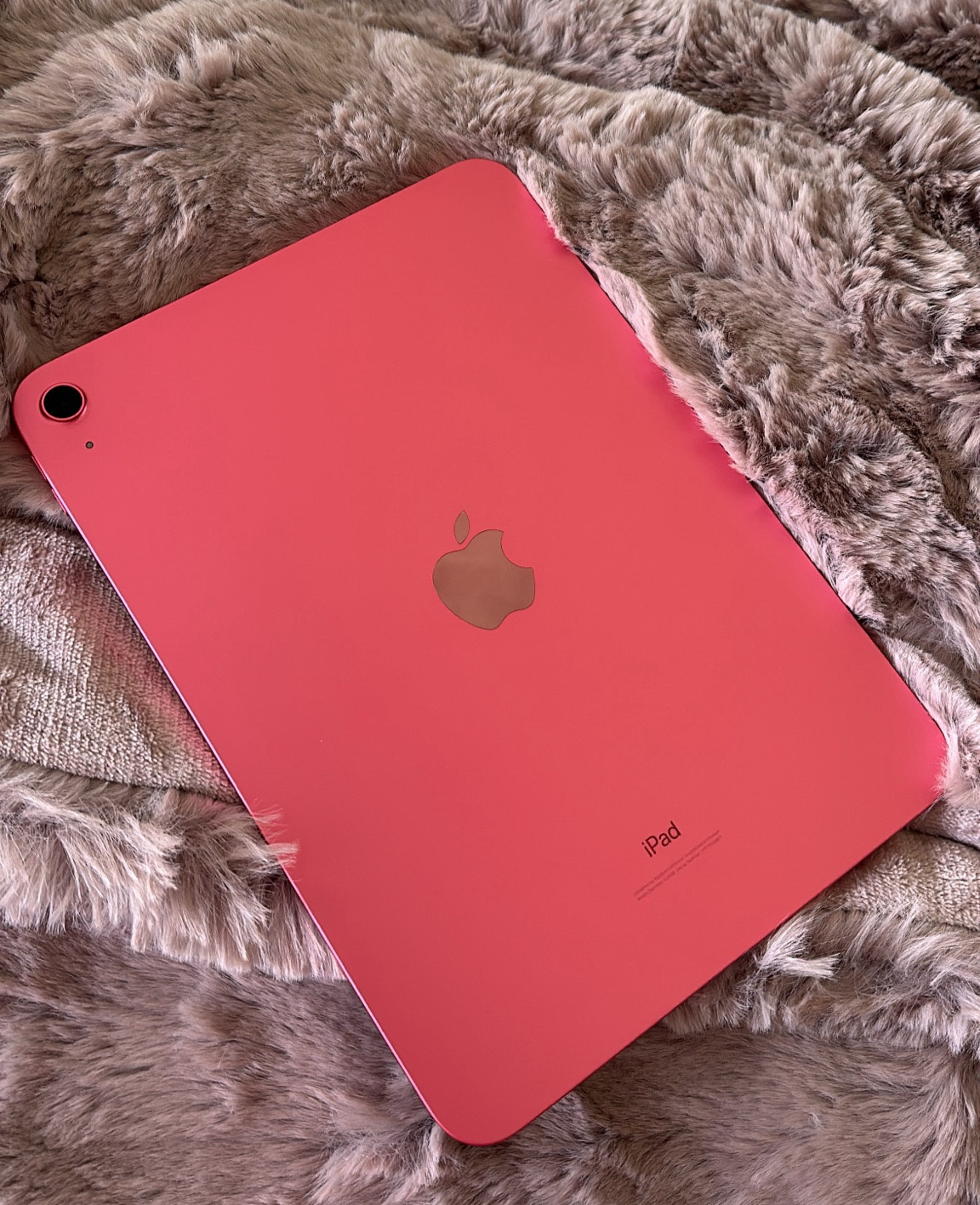 Apple iPad (10th Generation): with A14 Bionic chip, 10.9-inch Liquid Retina Display, 256GB, Wi-Fi 6, 12MP front/12MP Back Camera, Touch ID, All-Day Battery Life

#LTKGiftGuide #LTKsalealert