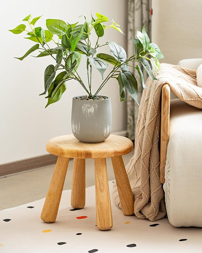 100% Solid Wood Mushroom Step Stool, Small Wooden Stool for Kids & Adults, Plant Stand & Side Tab... | Amazon (US)