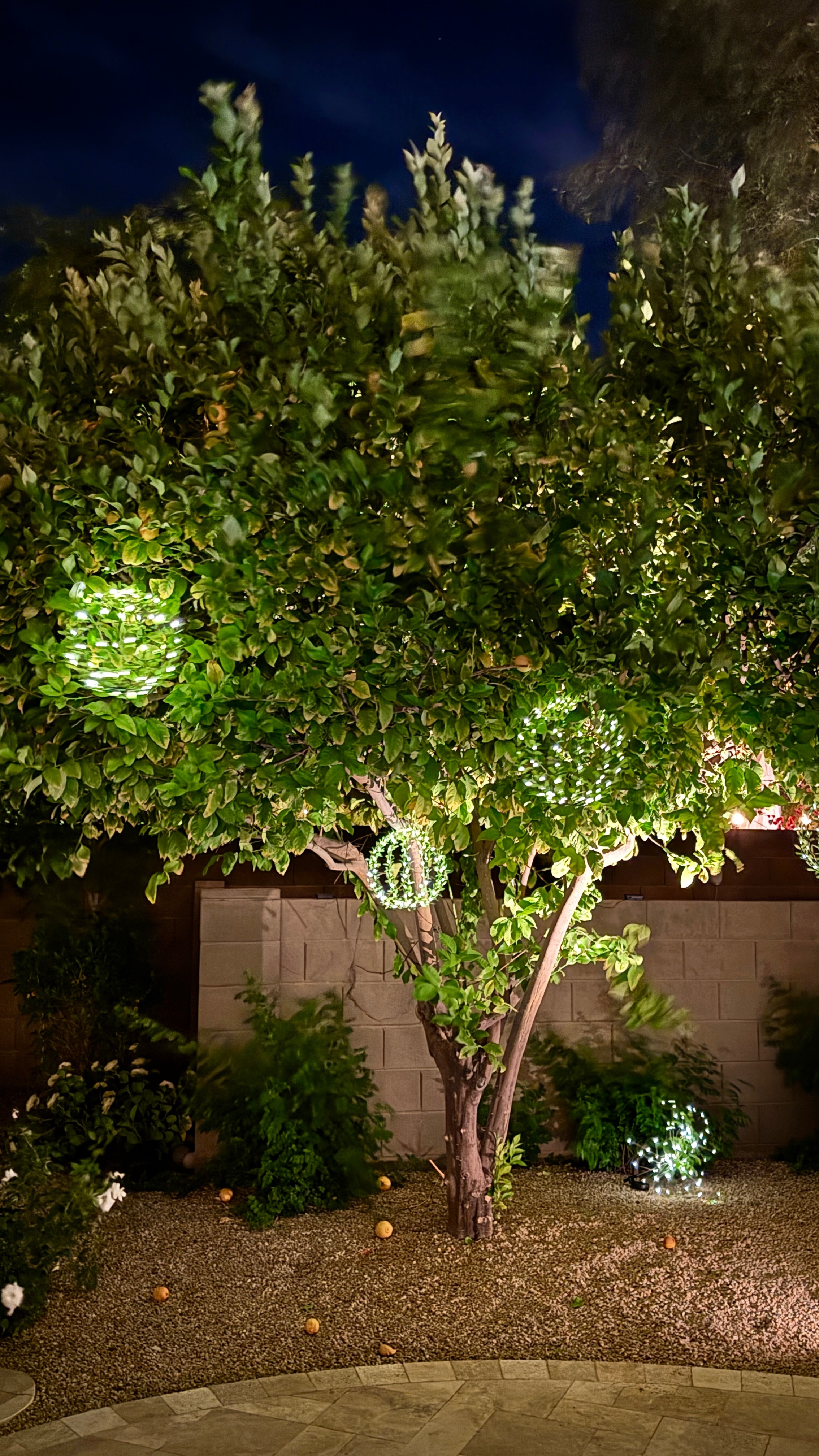Getting my yard spring and summer ready for outdoor entertaining and chillin with my family, with lots of fun twinkle lights for optimal ambience. These budget friendly Solar Globe lights for the trees add so much charm. 

#outdoorentertaining #backyard #patiodecor #backyarddecor #solarlights

#LTKHome #LTKParties #LTKFindsUnder50