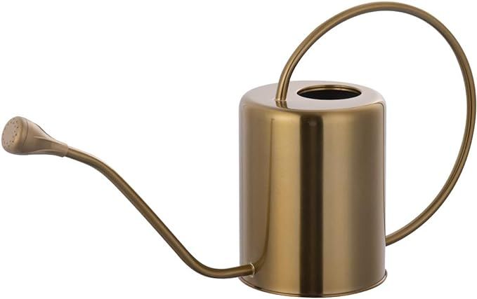 Yowo 1/2 Gallon 68oz Long Spout Stainless Steel Gold Colored Watering Can for Indoor Plant Wateri... | Amazon (US)