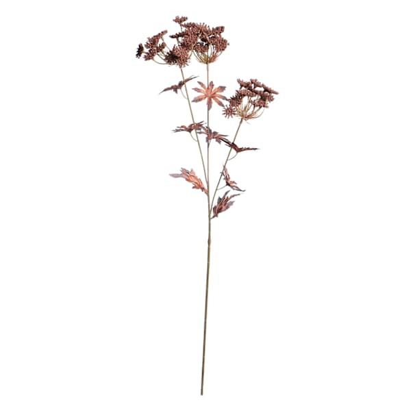 Brown Queen Anne's Lace Stem, 31" | At Home