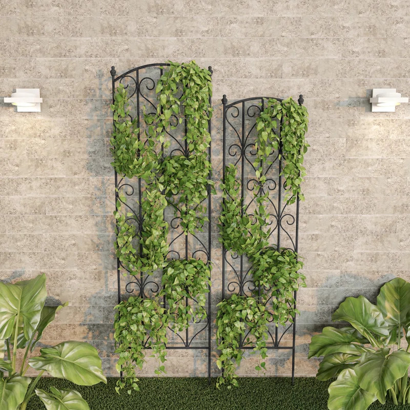 Set of 2 Garden Arch Trellis - Fencing for Climbing Vines, Roses, Potted Plants, and Flowers | Wayfair North America
