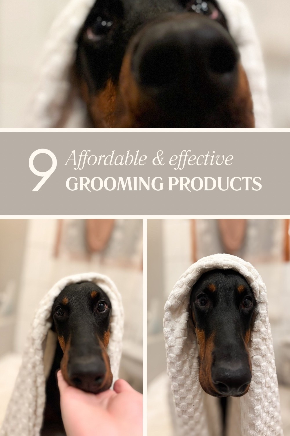 More favorites 🫶🏼 #LTKPets

#LTKgrwm #LTKselfcare #LTKdayinmylife