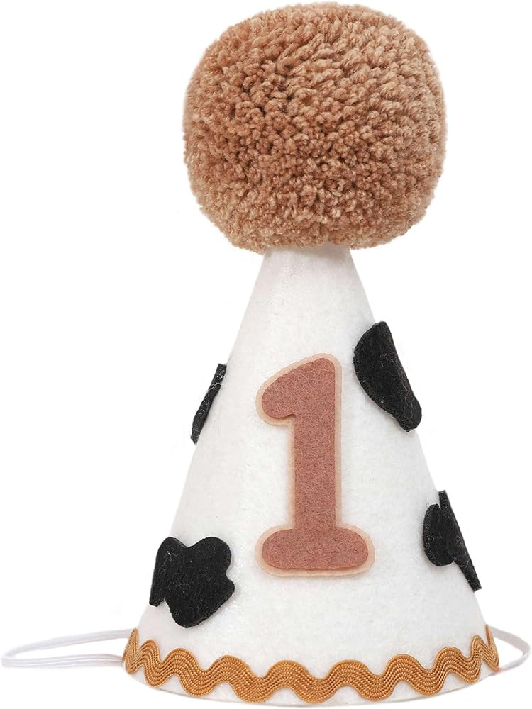 My First Rodeo cone cap for 1st birthday - Western Cowboy Birthday Hat for 1st Birthday Party Dec... | Amazon (US)