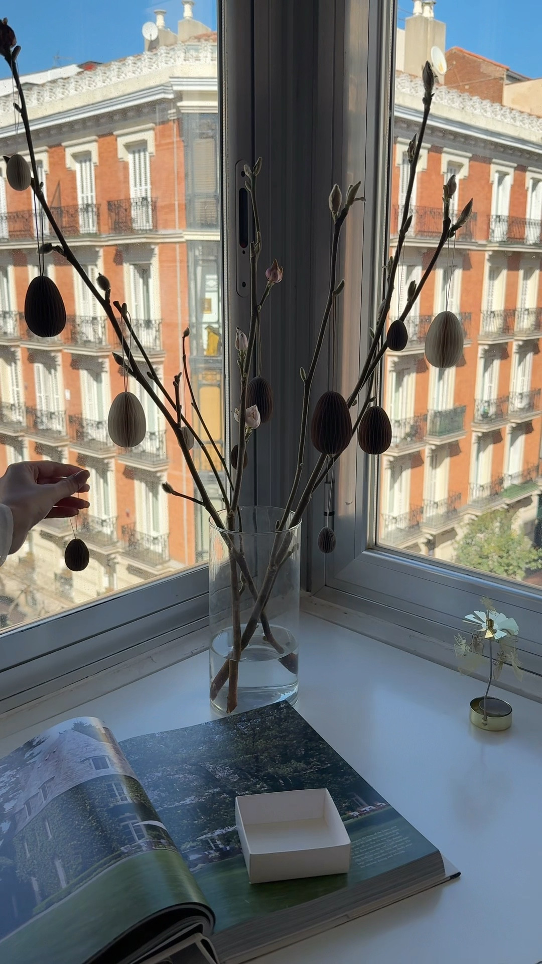 Decorate my Easter tree with me 🐣🪺🫶



#LTKhome #LTKstyletip #LTKspring