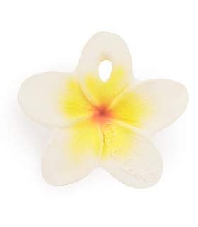 Oli & Carol, Hawaii The Flower, Chewable Fruit-Shaped Teething Toy for Baby, Natural Hevea Rubber | Amazon (US)