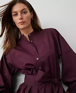 AT Weekend Cotton Stand Collar Shift Dress | Ann Taylor (US)