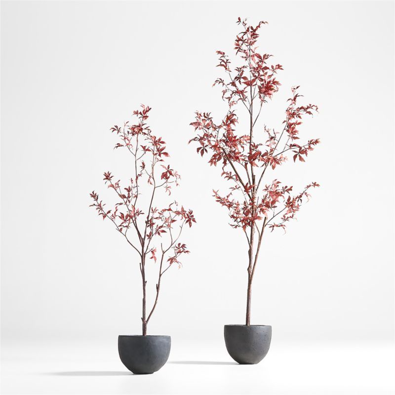 Potted Faux Maple Trees | Crate and Barrel | Crate & Barrel