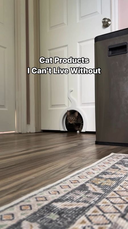 The top cat products I can’t live without 😻

#LTKHome #LTKFamily