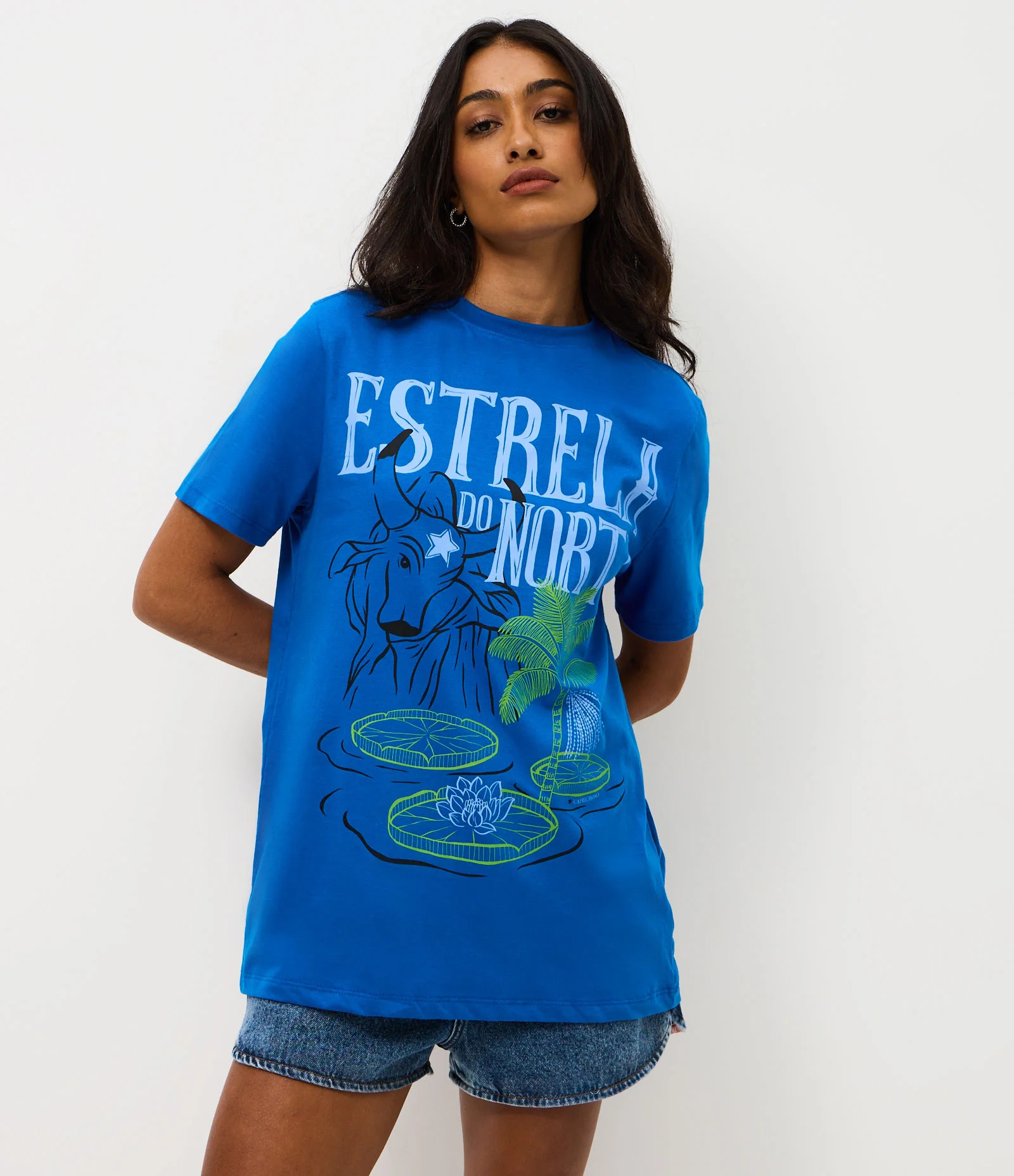 Camiseta em Algodão com Estampa Estrela do Norte Azul - Lojas Renner | Renner (BR)