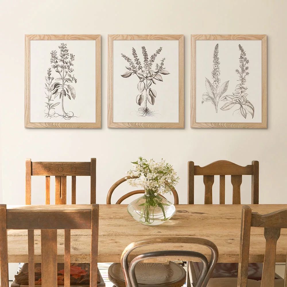 My Texas House - Sepia Besler Botanicals Framed Wall Art Print Set - 11x14 | Walmart (US)