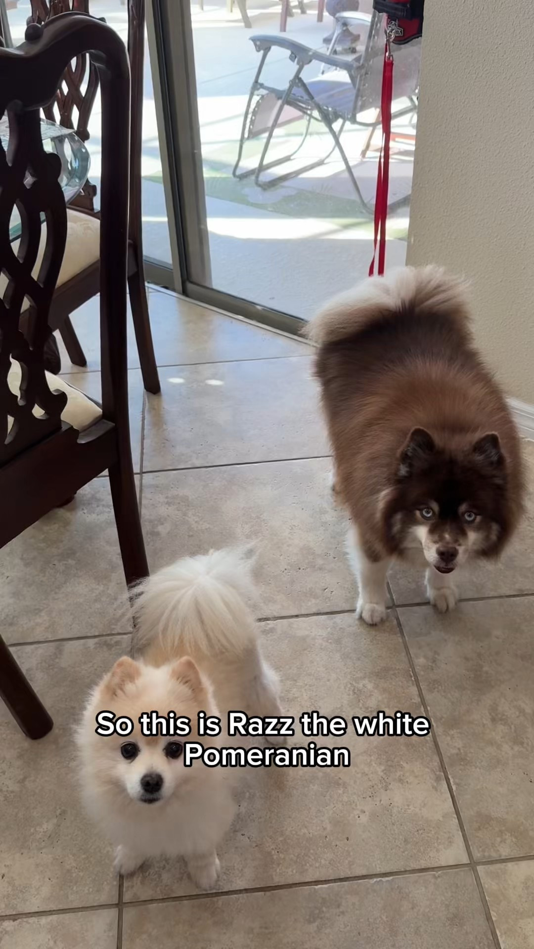 Their favorite part of the day 🤍
Linked what they love.

#LTKHome #LTKdayinmylife #LTKmorningroutine