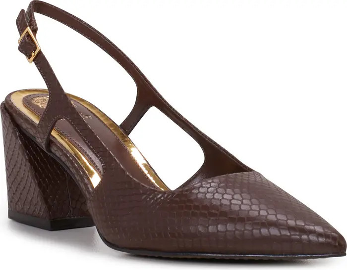 Sindree Slingback Pointed Toe Pump (Women) | Nordstrom