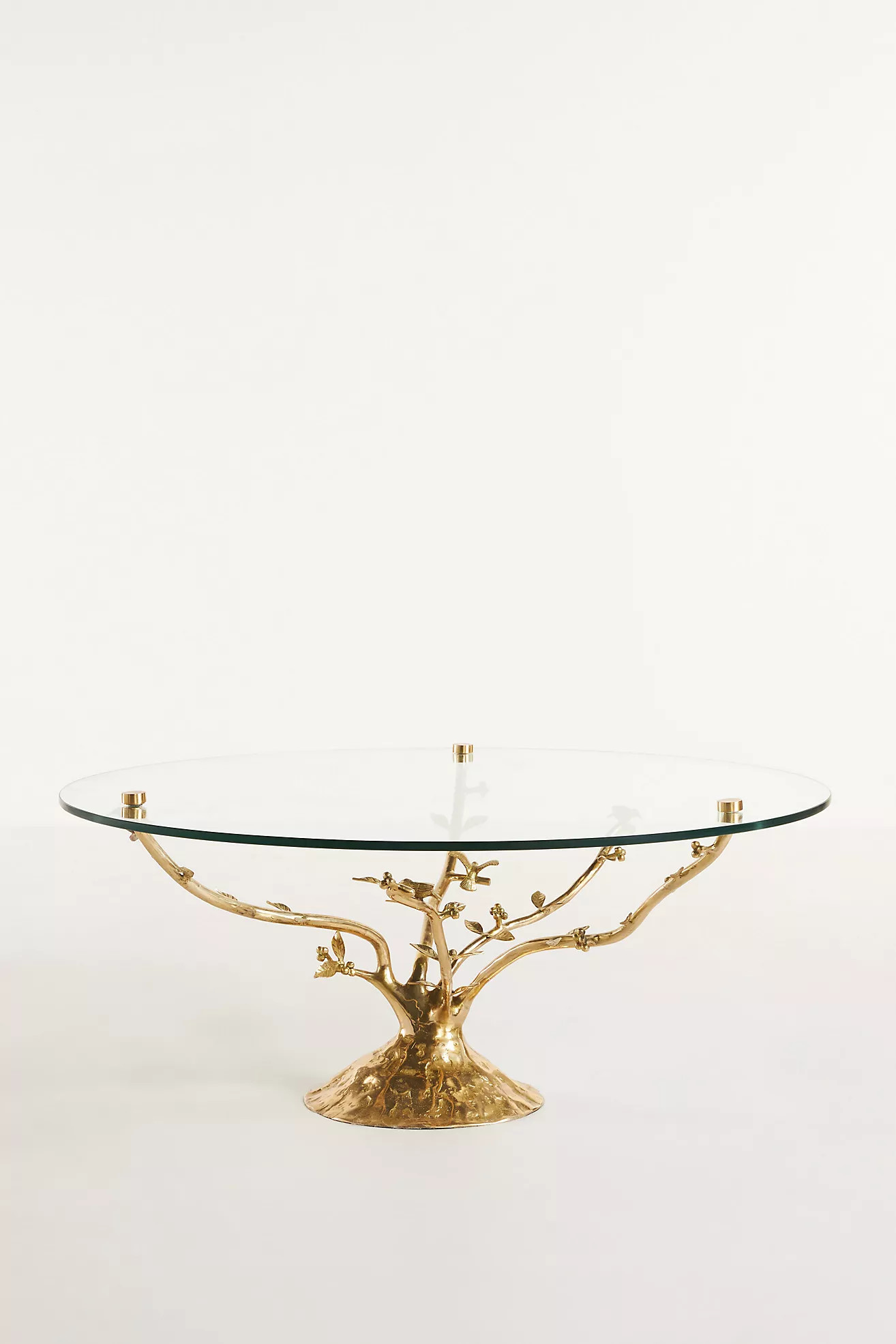 Tree Glass Top Coffee Table | Anthropologie (US)