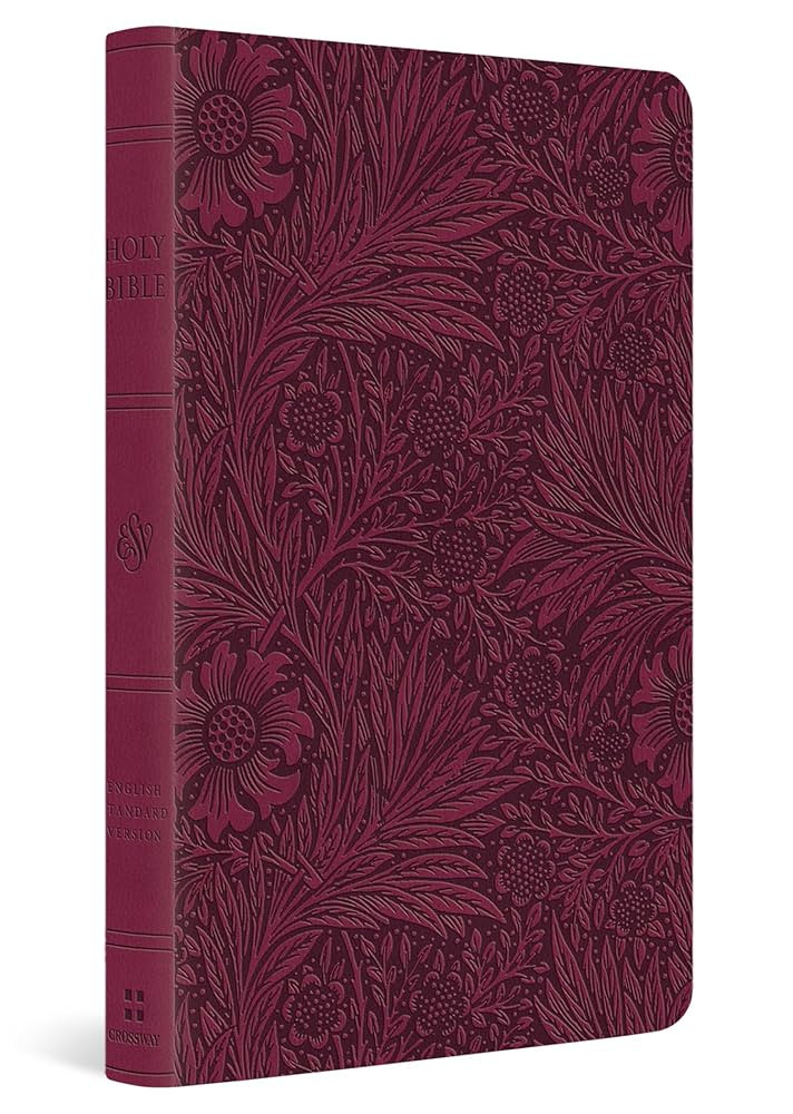 ESV Large Print Value Thinline Bible (TruTone, Raspberry, Floral Design): Holy Bible, English Sta... | Amazon (US)