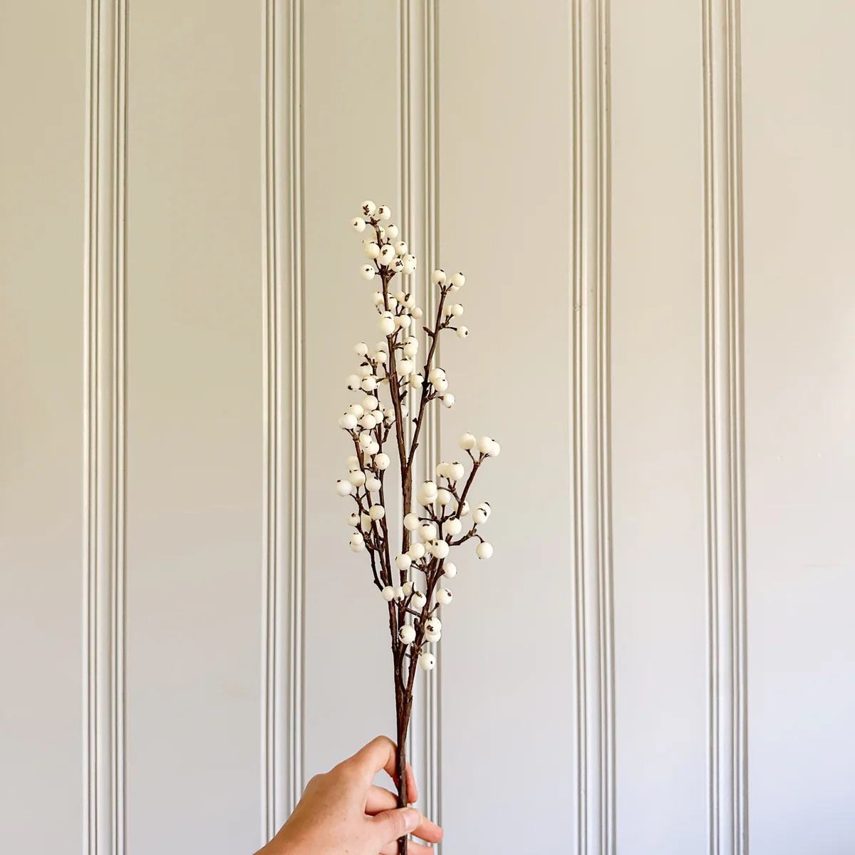 White Berry Stem | Purple Rose Home