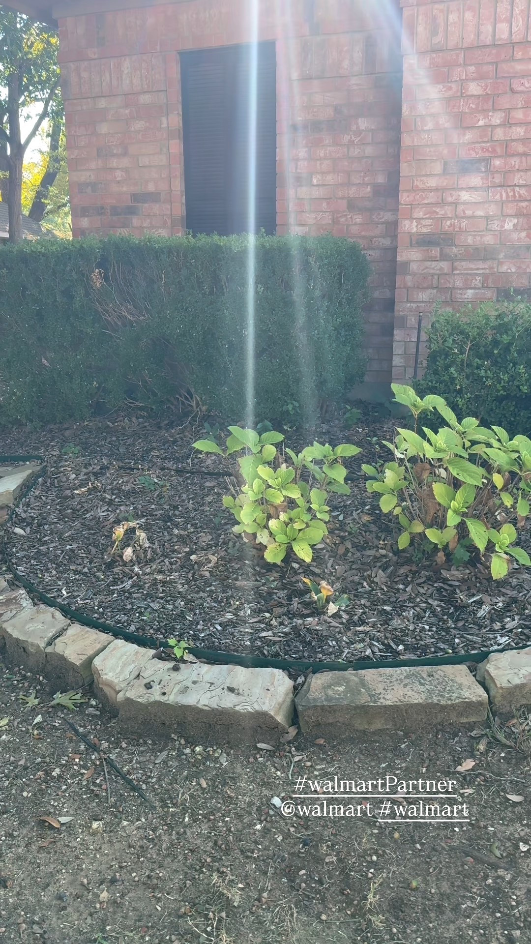 Found the CUTEST and easiest indoor/outdoor inflatable ornaments on Walmart! Can’t want to start decking these halls! @walmart #walmart #walmartpartner