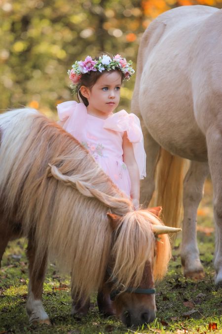Toddler Princess, flower girl dress 

#LTKbaby #LTKkids #LTKfamily