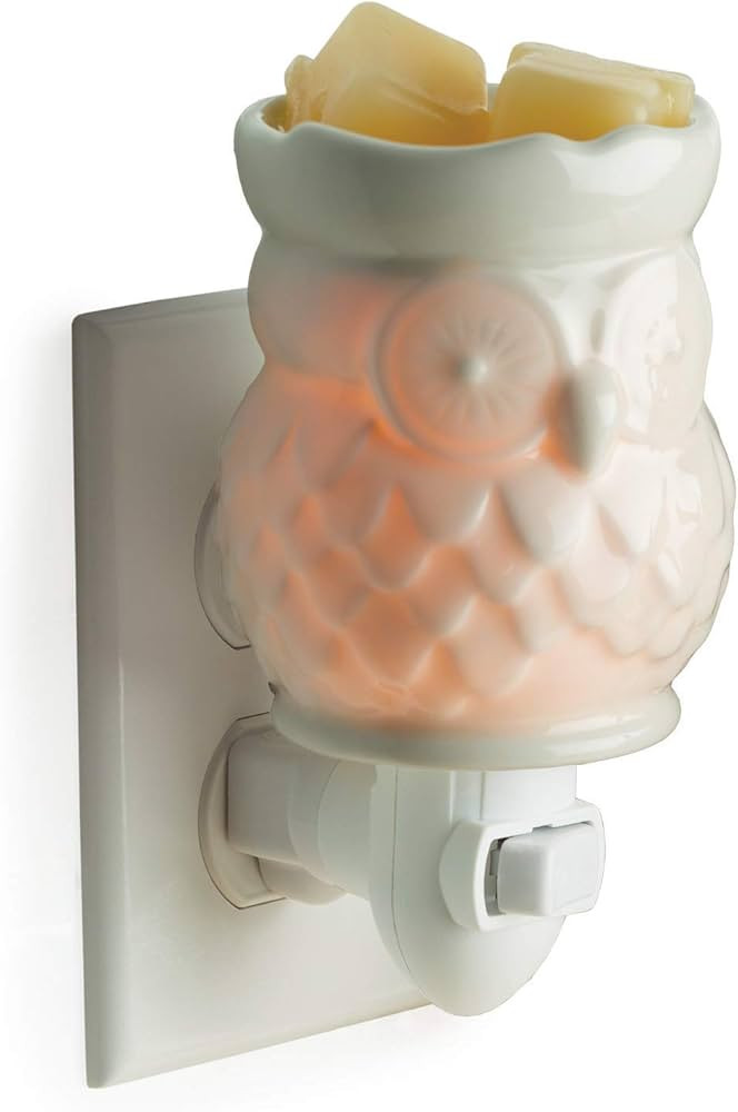 CANDLE WARMERS ETC Pluggable Fragrance Warmer- Decorative Plug-in for Warming Scented Candle Wax ... | Amazon (US)