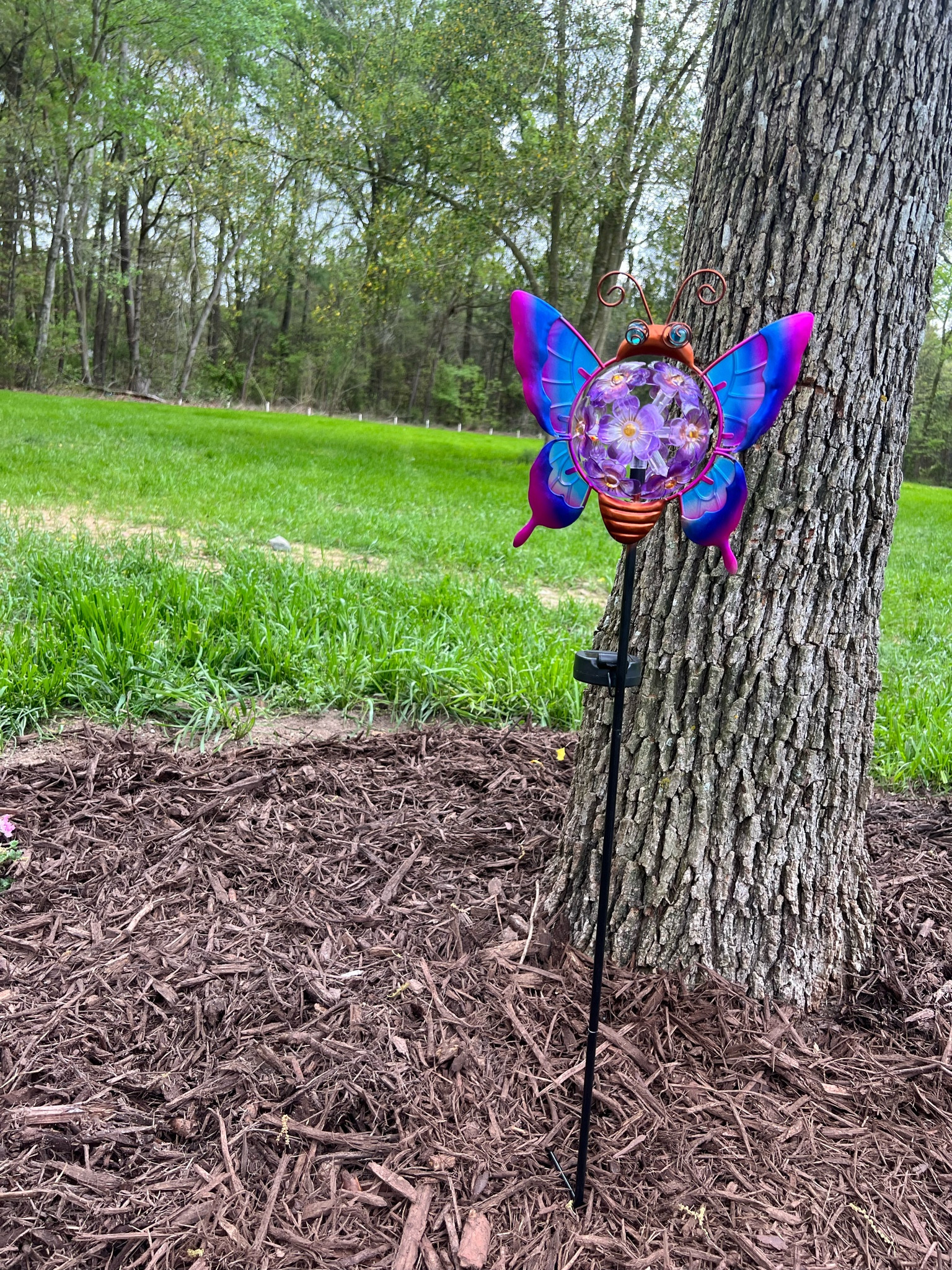 Butterfly solar light for our flower garden in honor of our baby girl. 🦋🩷 love this one and it’s big! It’s from hobby lobby so I can’t link it - but I linked some Amazon versions!

#LTKSeasonal #LTKsalealert #LTKfindsunder50