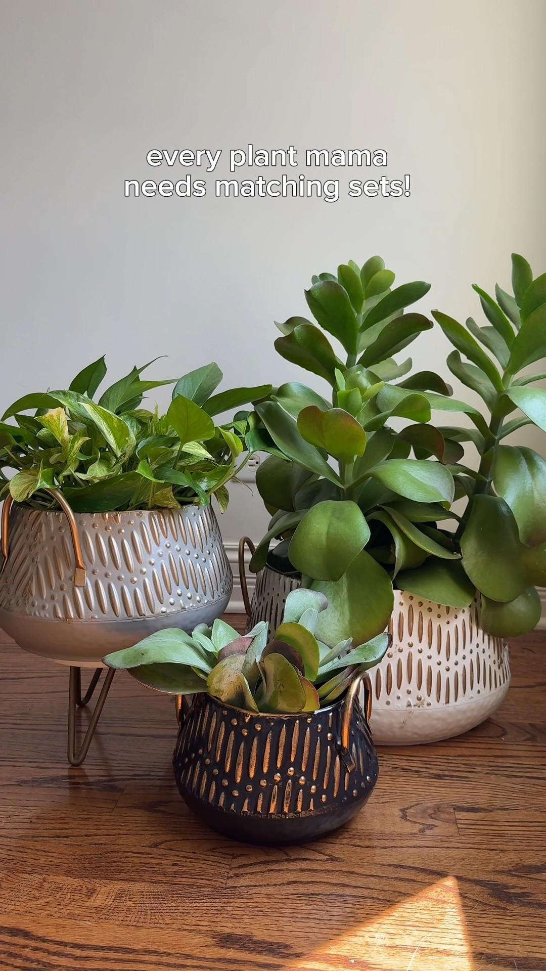Plow and Hearth has the most amazing planters and lots of them come in sets! Check below for some of my favorites!

#LTKHome #LTKWatchNow #LTKStyleTip