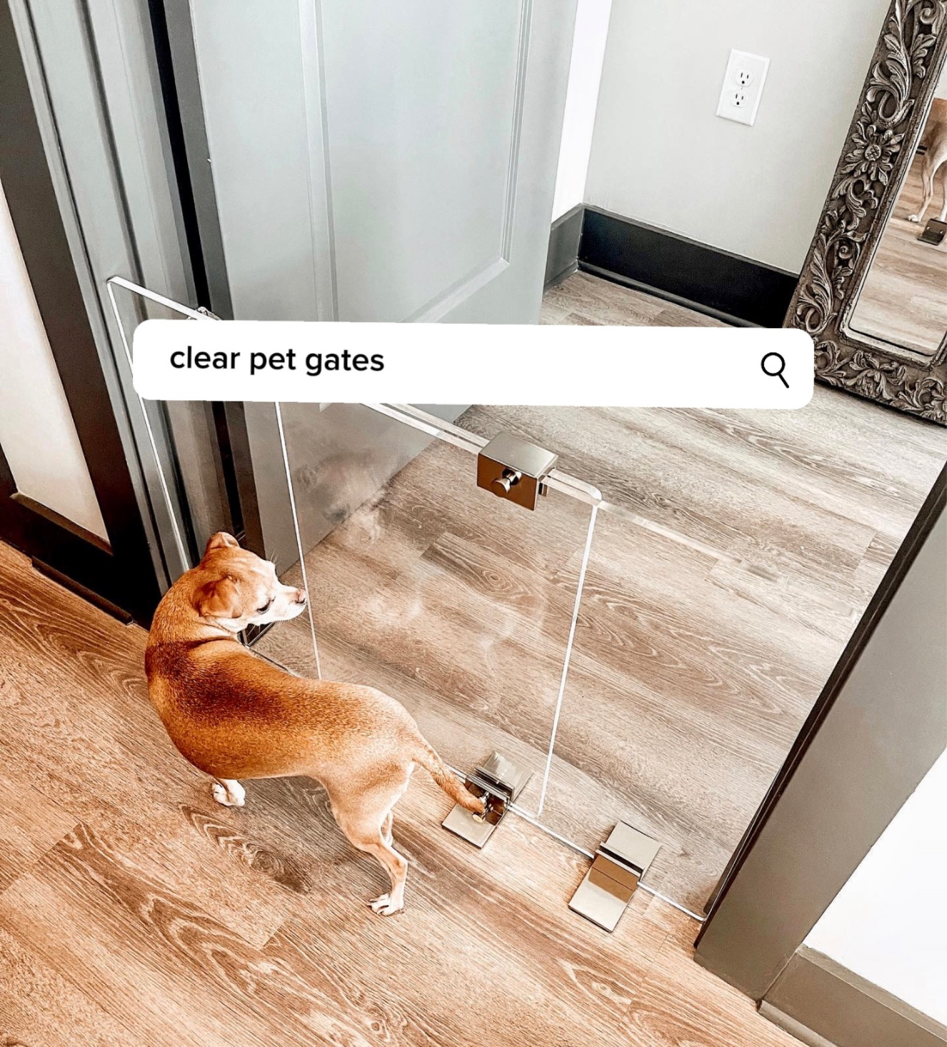 Clear pet gates

#LTKGiftGuide #LTKstyletip #LTKhome