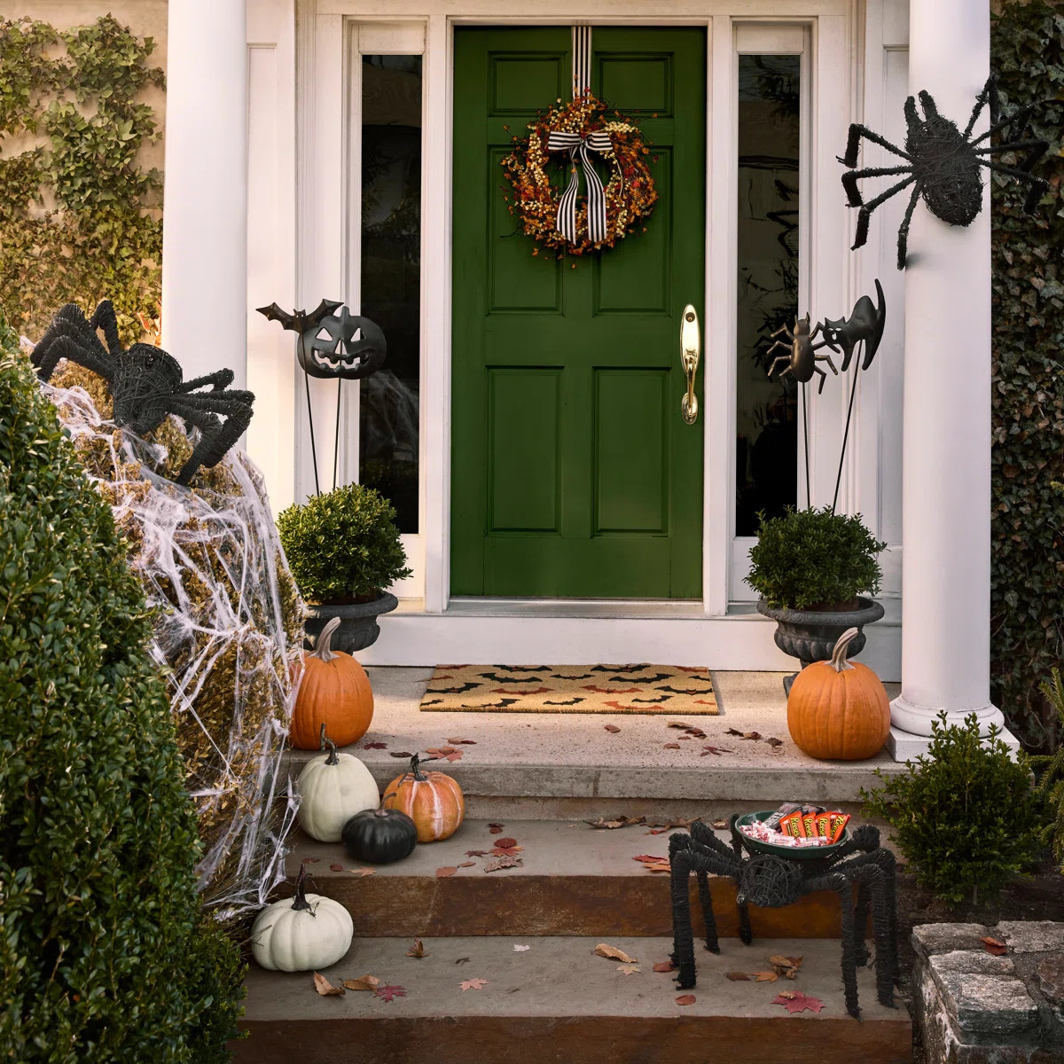 Park Hill Collection Full Moon Pumpkin Collection, Set Of 5 | Birch Lane | Birch Lane