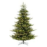 Vickerman 6.5' x 57" Hudson Fraser Fir Artificial Christmas Tree, Dura-Lit LED Warm White Mini Light | Amazon (US)