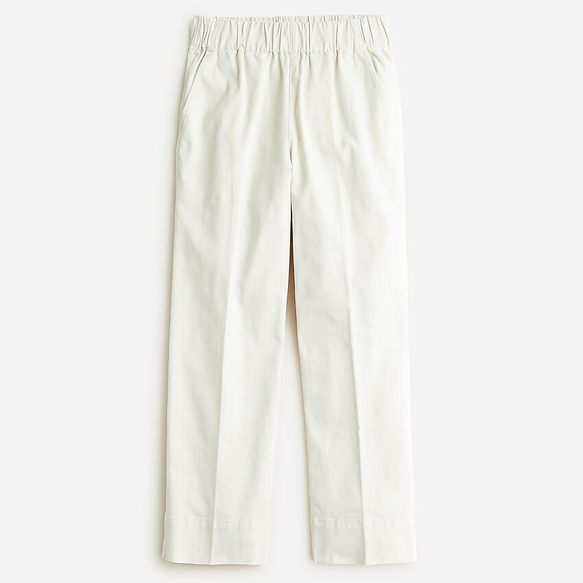 Astrid wide-leg chino pant | J. Crew US