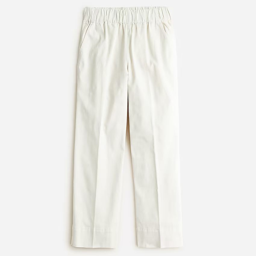 Astrid wide-leg chino pant | J.Crew US