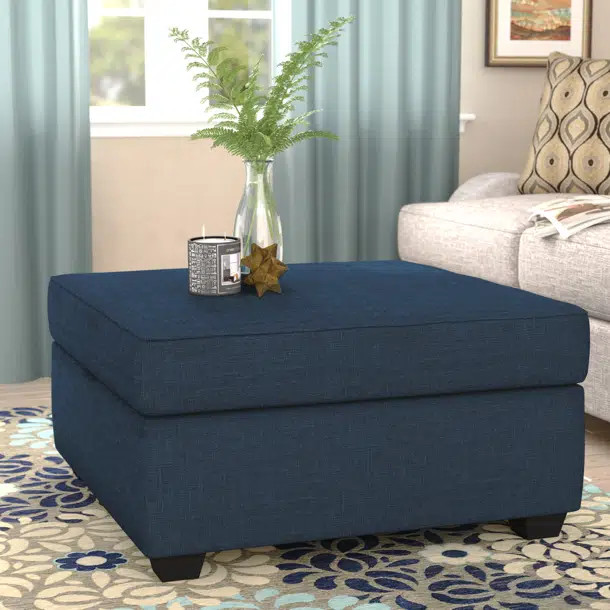 Anke Upholstered Storage Ottoman | Wayfair North America