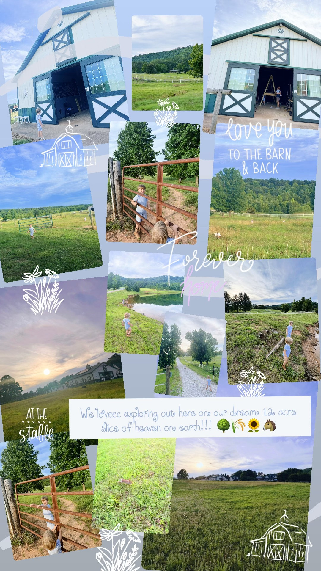 We loveee exploring out here on our dream 12 acre slice of heaven on earth!!! 🌳🌾🌻🐴