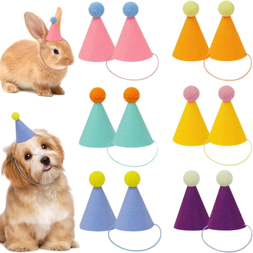 Mini Party Hats for Stuffed Animals, Colorful Mini Felt Cone Hats for Dolls Dogs Cats Rabbits, Bi... | Amazon (US)