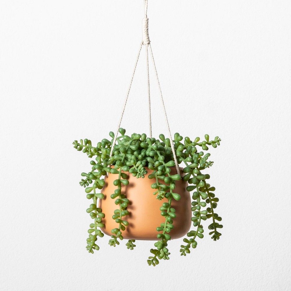 Hanging Plant String of Pearls Medium - Hearth & Hand with Magnolia, Green | Target