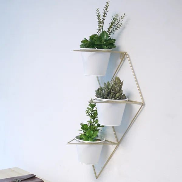 Woodworth 4-Piece Ceramic Wall Planter Set | Wayfair North America