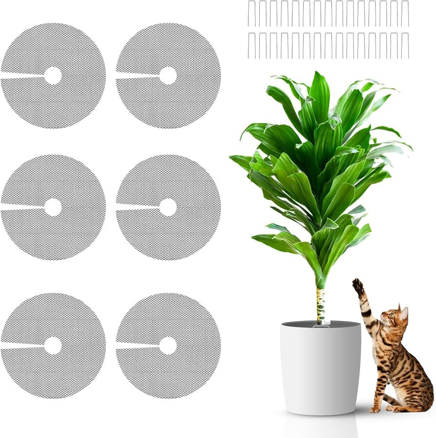 6 Pcs 11.8 Inch Plant Pot Grids，Cut-able Plant Pot Soil Protective Covers from Animals,Used to ... | Amazon (US)