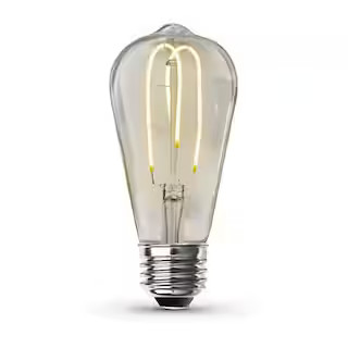 Feit Electric 40-Watt Equivalent ST19 DImmable M Shape Filament Clear Glass Vintage Edison LED Li... | The Home Depot