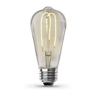 Feit Electric 40-Watt Equivalent ST19 DImmable M Shape Filament Clear Glass Vintage Edison LED Li... | The Home Depot
