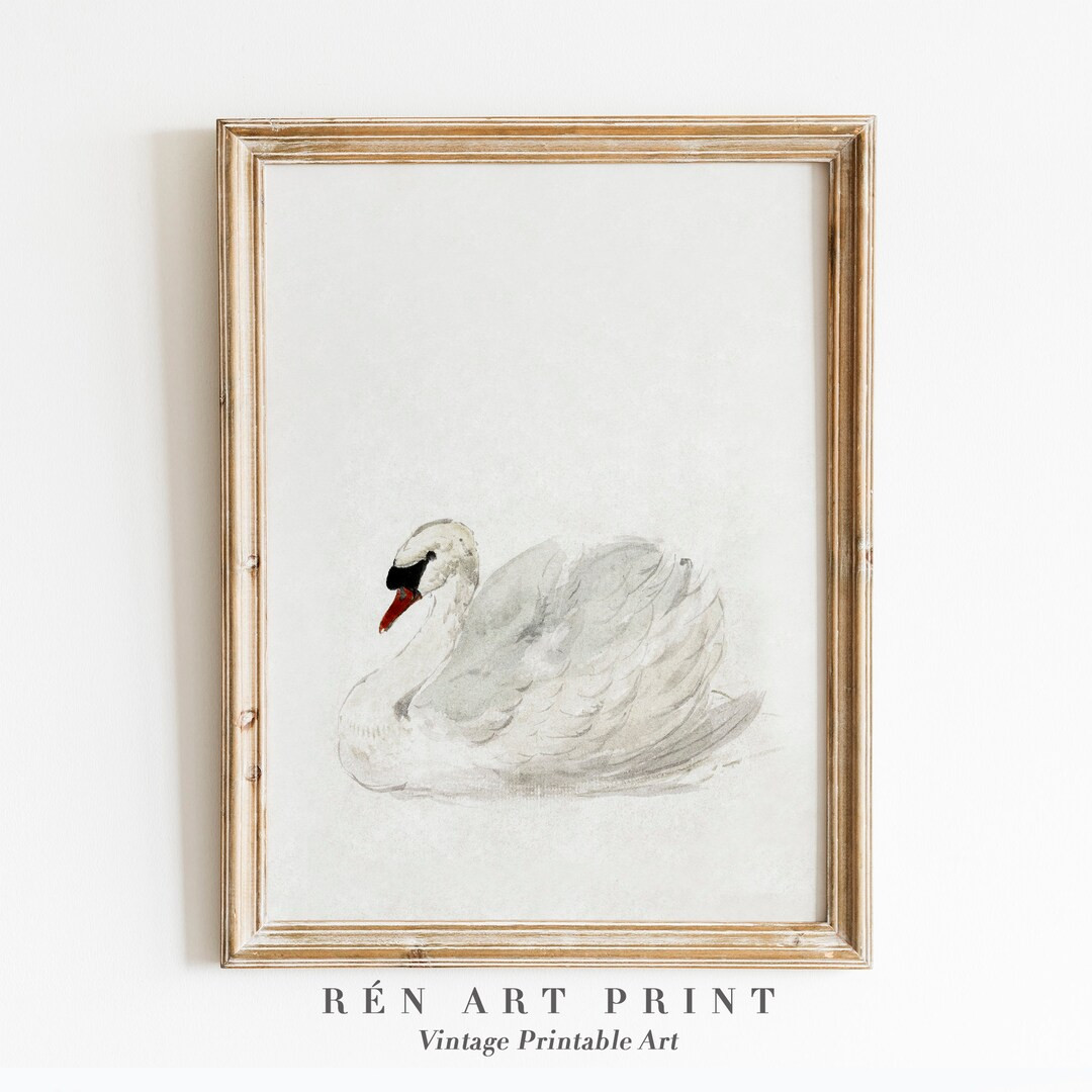 Antique Swan Printable Wall Decor Vintage Nursery Wall Art - Etsy | Etsy (US)