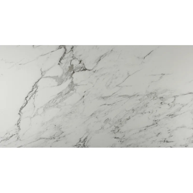 Carrara 12" x 24" Porcelain Marble Look Wall & Floor Tile | Wayfair North America