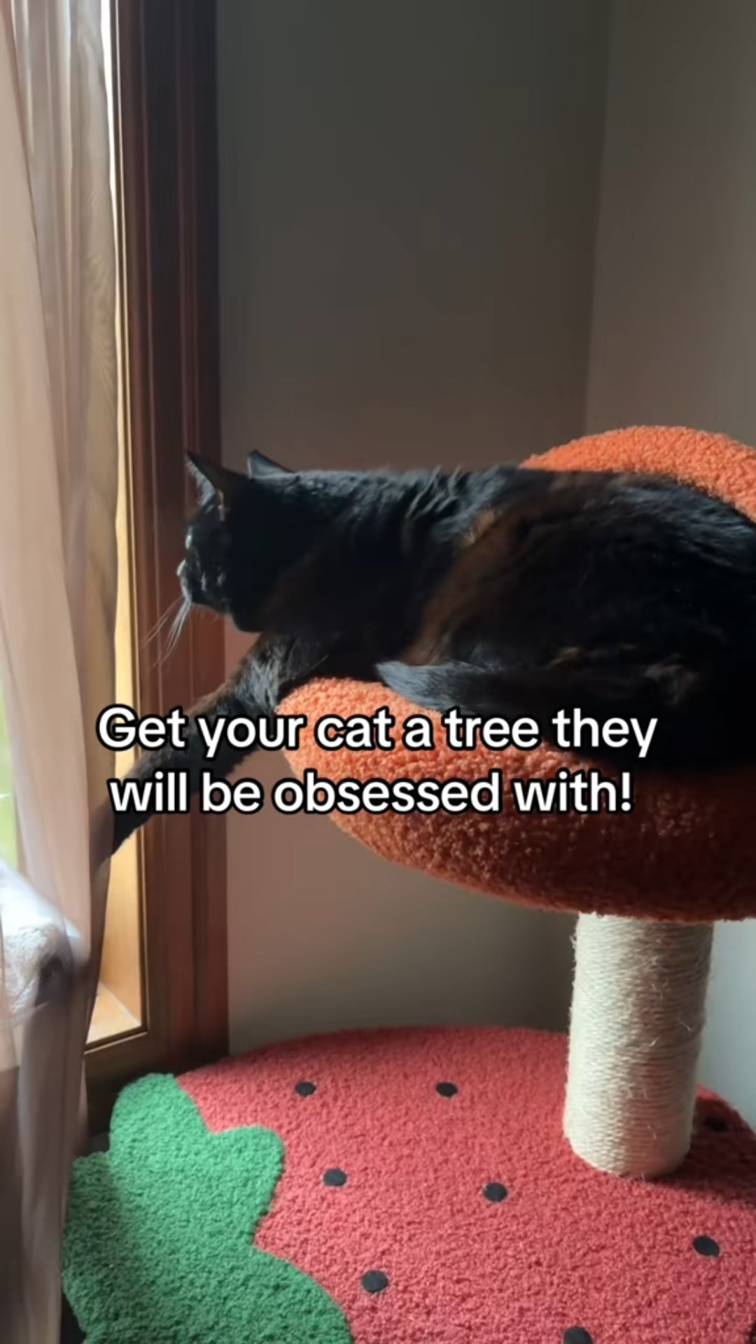 KitKat loves her cat tree by Happy and Polly. 

#LTKGiftGuide #LTKmomlife #LTKCyberWeek