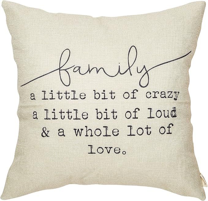 Fjfz Family a Little Bit of Crazy Decorative Throw Pillow Covers, Farmhouse Quote Home Rustic Dec... | Amazon (US)