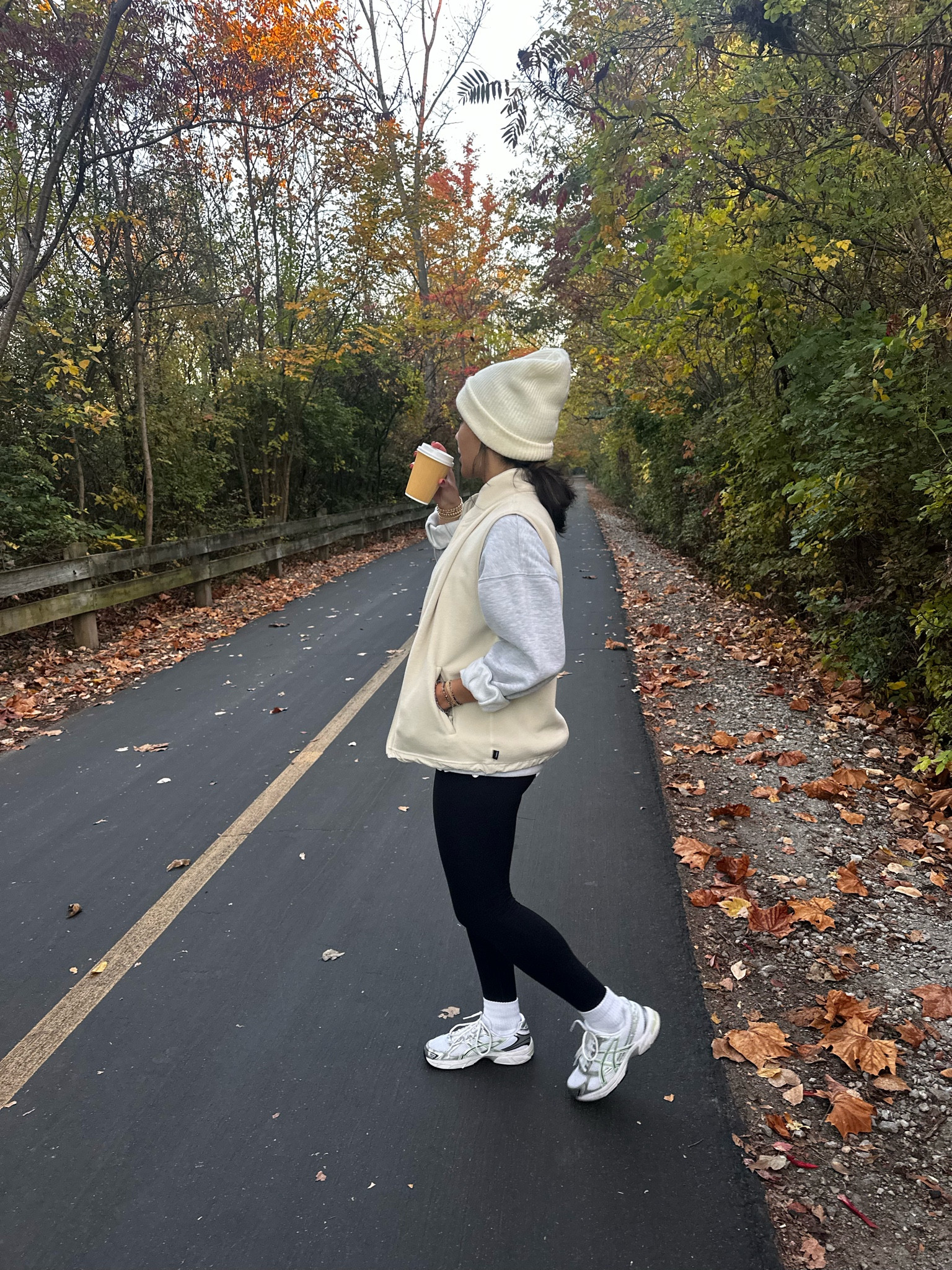 Aritzia vest