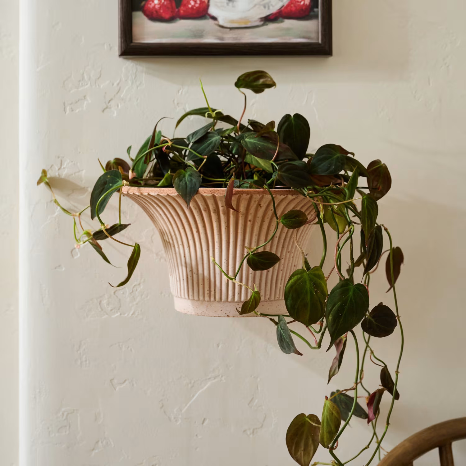 Bergs Daisy Wall Pot | Magnolia