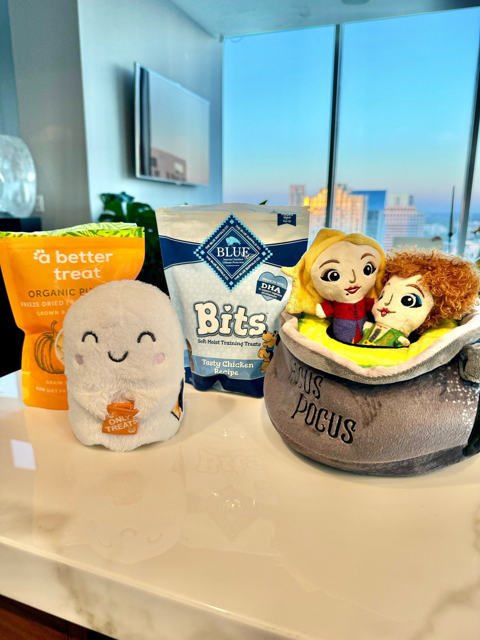 My dog’s Halloween haul from Chewy. Halloween toys: Hocus Pocus snuffle toy & Ghost. Blue Buffalo dog treats & Pumpkin dog treats. Halloween essentials for your dog. 

#LTKHalloween